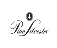 Pino Silvestre