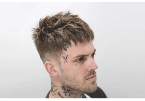 Мужская стрижка Кроп (Crop): виды и особенности