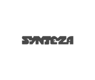 Synteza