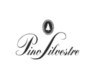 Pino Silvestre